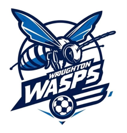 Wasps logo
